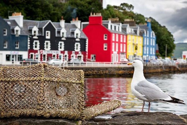 The iconic multicoloured houses of Tobermory Harbour on the Isle of Mull, Scotland