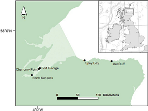 The Moray Firth off the north east coast of scotland