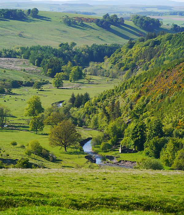 The rolling hills and green countryside of the Scottish Borders