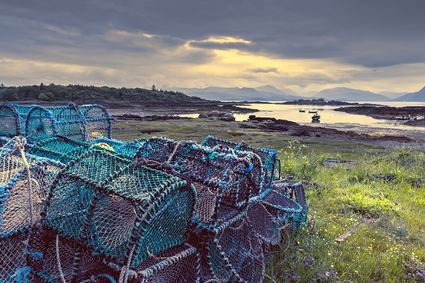 You’re never too far from the Scottish coast and its abundance of fresh, delicious seafood